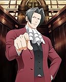 【Amazon.co.jp限定】逆転裁判~その「真実」、異議あり! ~Blu-ray BOX ...