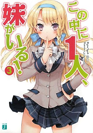 この中に1人、妹がいる！３ (MF文庫J)