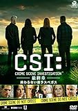 CSI:科学捜査班-最終章- 終わらない街ラスベガス [DVD]