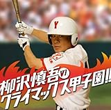 柳沢慎吾クライマックス甲子園!!