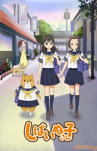 しばいぬ子さん 【DVD】