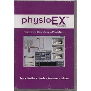 Horse Cycles | Brooklyn, NY Custom Bike.