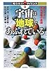 宇宙は「地球」であふれている -見えてきた系外惑星の素顔- (知りたい!サイエンス)