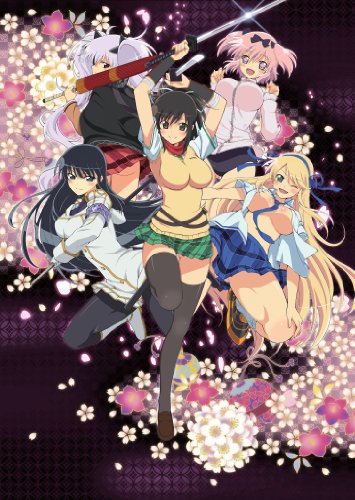 閃乱カグラ 第壱巻 [Blu-ray]