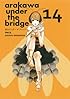 荒川アンダー ザ ブリッジ(14) (ヤングガンガンコミックス)