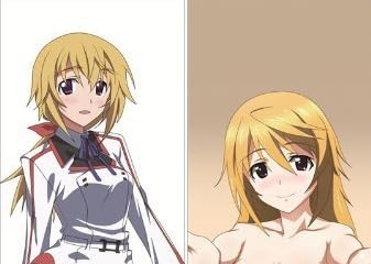 IS Infinite Stratos アイエス インフィニット.ストラトス シャルロット.デュノア 両面抱き枕カバー　アニメ　キャラクター　グッズ