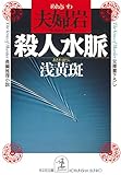 夫婦岩殺人水脈 (光文社文庫)