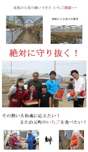 【送料無料・被災地への寄付込み】宮城県発