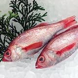 高川物産 のどぐろ (鮮魚)　約1キロ -クール-