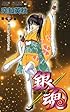 銀魂-ぎんたま- 21