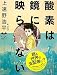 酸素は鏡に映らない (MYSTERY LAND)