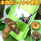 ★本物だからこの質感★椎茸ストラップ