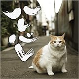 ハレバレ(DVD付)