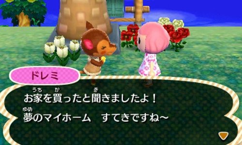 とびだせ どうぶつの森