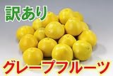 訳ありグレープフルーツたっぷり10kg