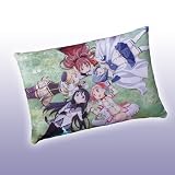 一番くじプレミアム 魔法少女まどか☆マギカ C賞 描き下ろし クッション 単品