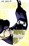 BLEACH―ブリーチ― 53 (ジャンプコミックス)