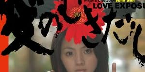 愛のむきだし [DVD]