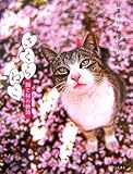 さくらねこ―猫と桜の物語