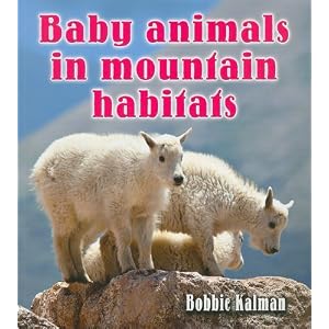 Baby Animals(matching game)