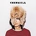 CHRONICLE(DVD付)
