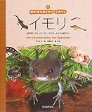 イモリ―有尾類/アカハライモリ・アホロートルの仲間たち (爬虫・両生類ビギナーズガイド)