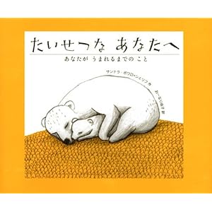 たいせつな あなたへ あなたが うまれるまでの こと (講談社の翻訳絵本)