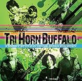 A SMART BUFFALO NEVER HIDES HIS HORN