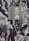 光の雨