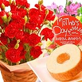 母の日ギフト 花鉢カーネーション 花とセット 花とスイーツセット 人気グルメギフト(赤色の生花)