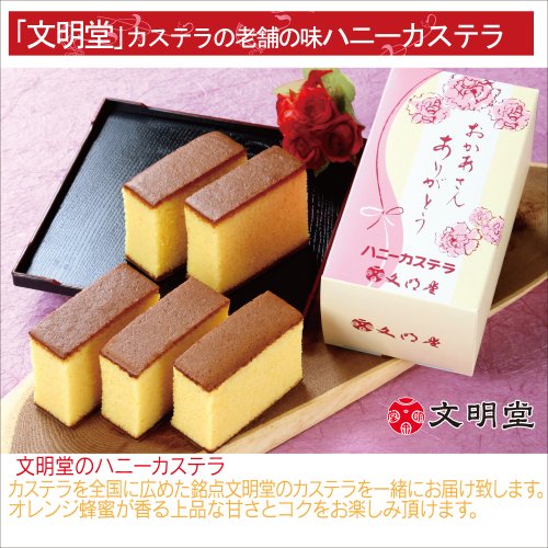 赤カーネーション5号鉢 文明堂カステラ 花とスイーツ 花鉢 母の日ギフト