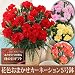 【送料無料！遅れてもうれしい母の日ギフト】花色おまかせカーネーション5号鉢