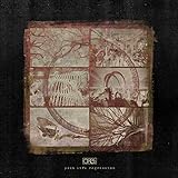 Past Life Regression