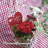 プリザーブドフラワー ギフト　枯れないお花　ベアとカーネーション（母の日ギフト）