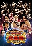 新日本プロレスリング　2010年総集編 [DVD]