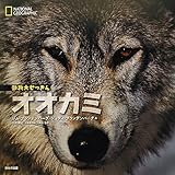 アフリカキンイロオオカミの発見 イヌ属では150年振りの新種 パンデモニウム