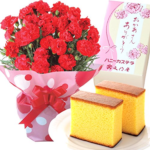 赤カーネーション5号鉢 文明堂カステラ 花とスイーツ 花鉢 母の日ギフト