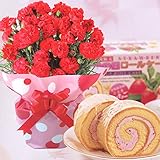 赤カーネーション5号鉢と苺ロールケーキのセット 花とスイーツ 母の日ギフト