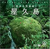 屋久島(DVD付)