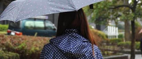 Ruby＋Ed(ルビーアンドエド) レインコート RW201 Raincoat Twin dots Wine