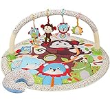 携帯Y210015アクティビティジム