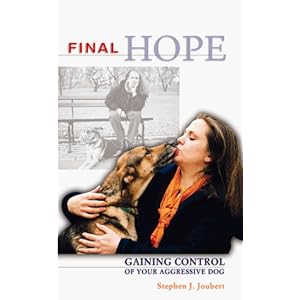 Final Fantasy XIII - The Final Fantasy.