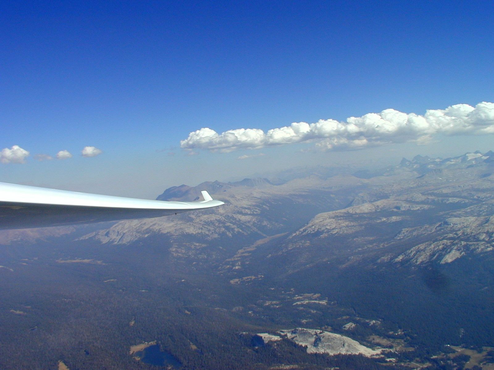 Dynamic soaring - Wikipedia, the free.