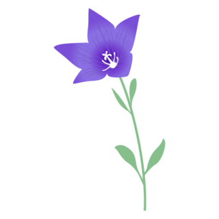 f_flower310.png