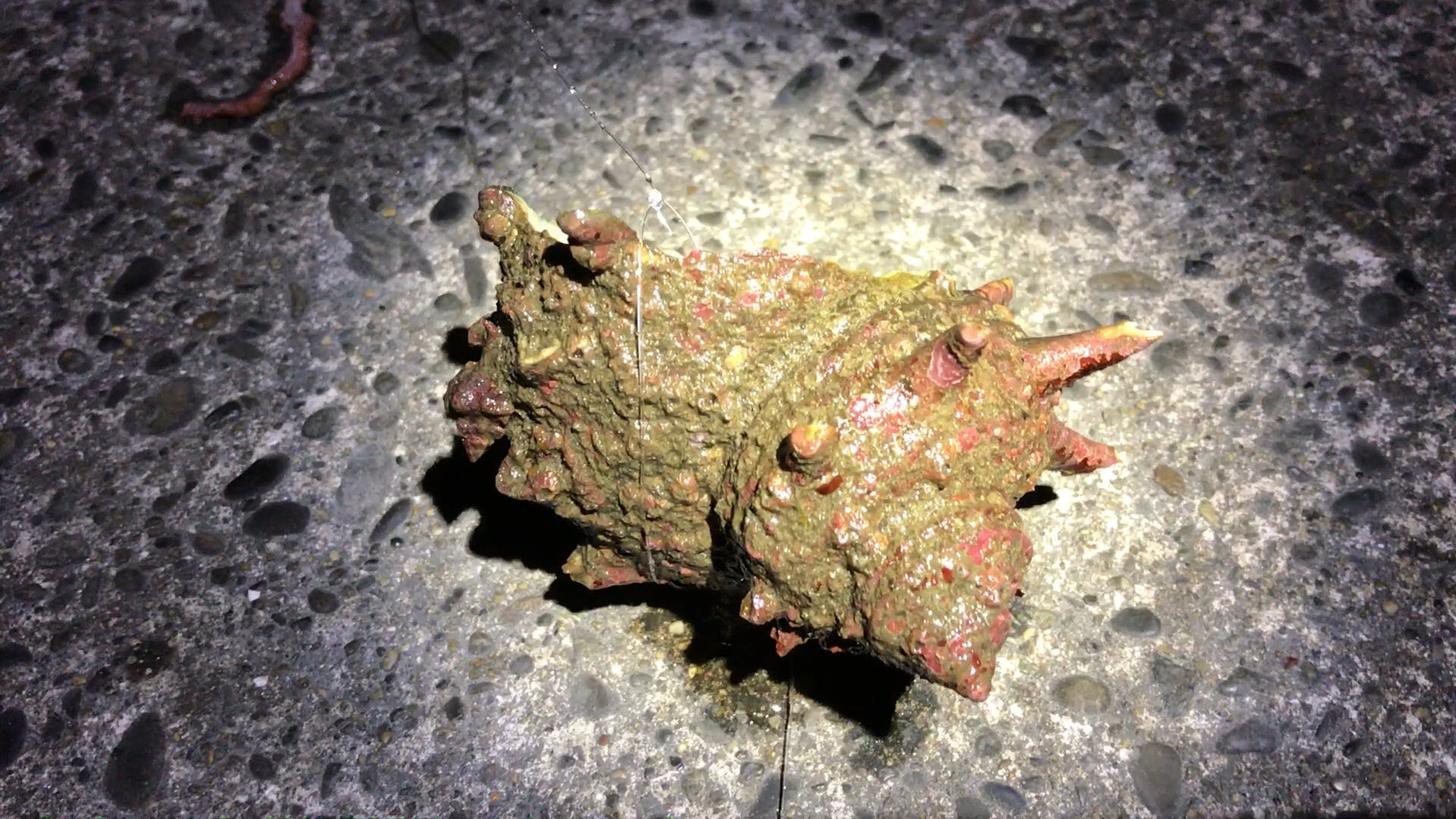 img_9343minato-00_02_08_01-still005