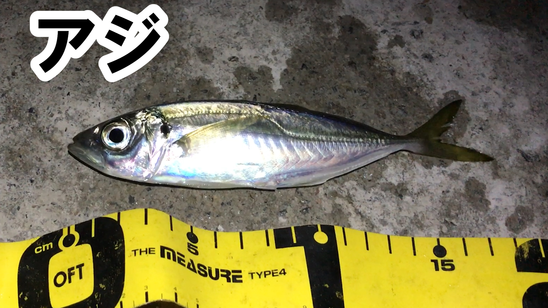 img_9343minato-00_02_44_19-still021