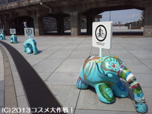 Zou_no_hana2