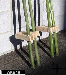 にほんブログ村 芸能ブログ AKB48へ