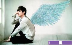 にほんブログ村 芸能ブログ 嵐へ