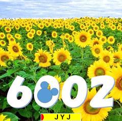 にほんブログ村 芸能ブログ JYJへ